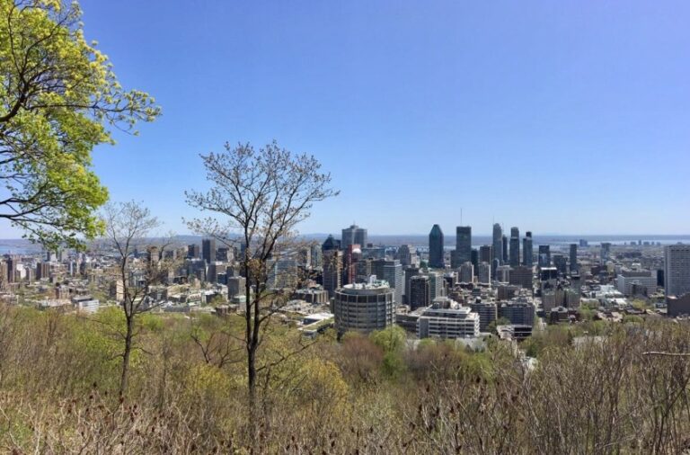 Read more about the article Let’s explore Montréal! Experiences of StartTechnik Trainee Jacqueline in her foreign assignment