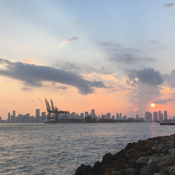 Viva Miami – my StartTechnik assignment abroad