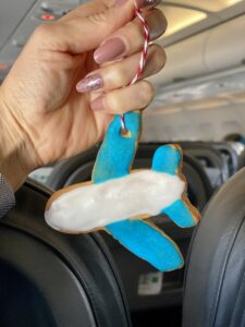 Ich fliebs! Homemade airplane-shaped cookies for the entire crew